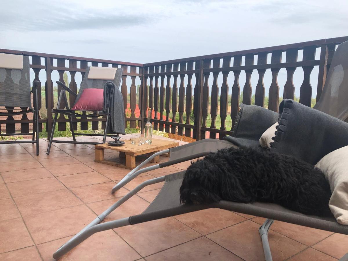Balaton Apartman Paloznak Exteriör bild